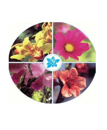 Floresencial - Esencias Florales
